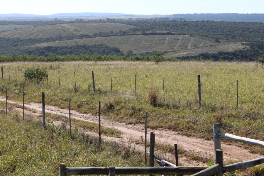 3 Bedroom Property for Sale in Bathurst Eastern Cape